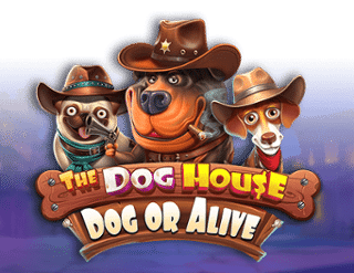 The-Dog-House---Dog-or-Alive